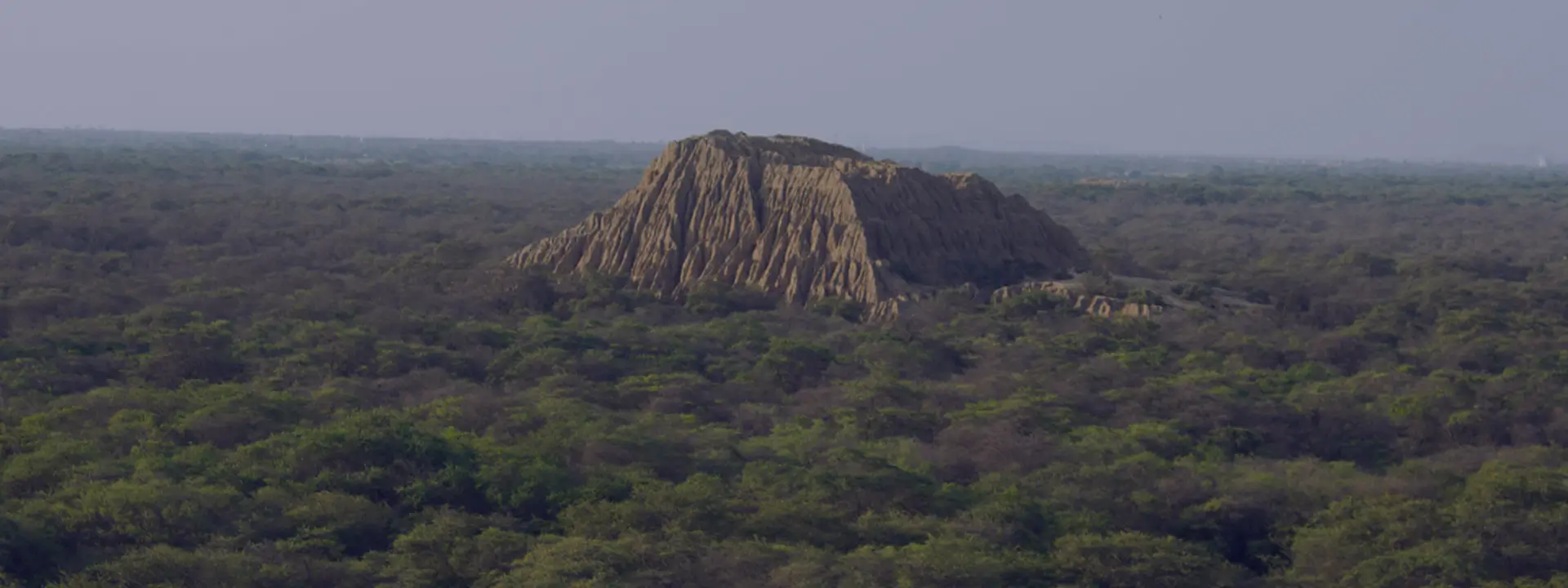 bosque de pomac - danatorims